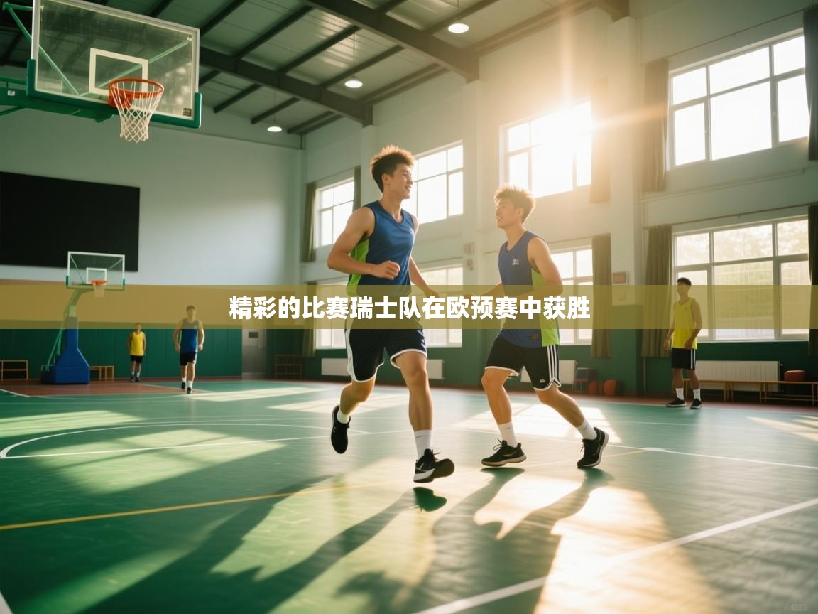 精彩的比赛瑞士队在欧预赛中获胜 第1张